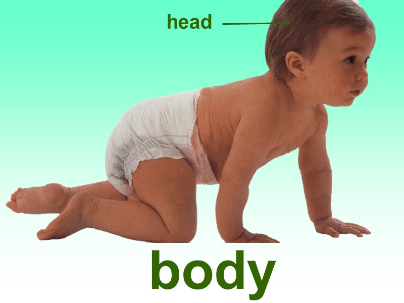 body head